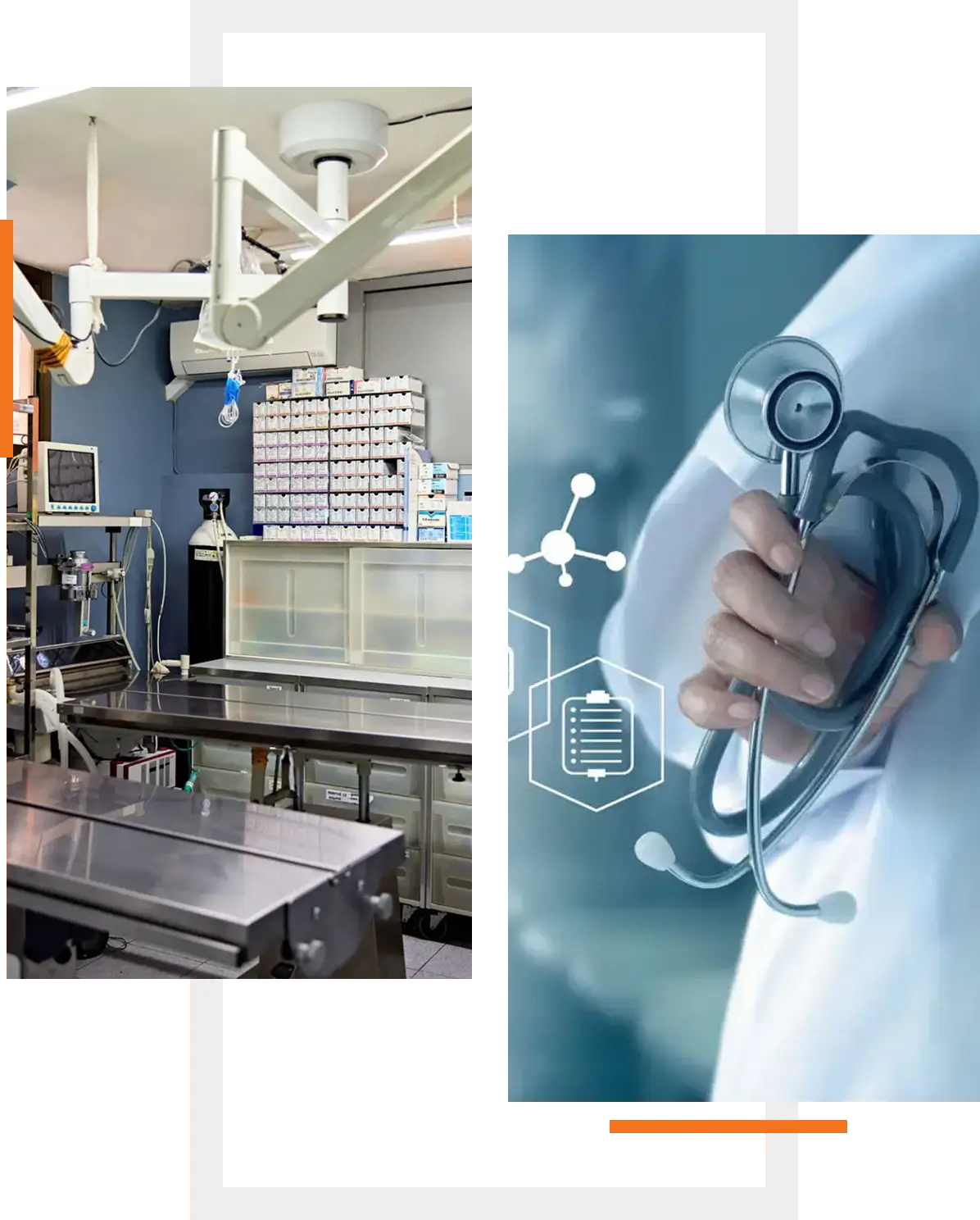 Modern veterinary surgery room with medical equipment and a doctor holding a stethoscope.